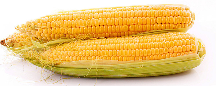 2017q中国玉c_业消贚w创历?jpg